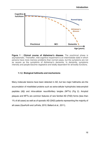 Introduction
16
Figure 1 : Clinical course of Alzheimer’s disease. The preclinical phase is
asymptomatic. Thereafter, mild cognitive impairment is an intermediate state in which
persons have more memory problems than normal cases, but the symptoms are not
as severe as the symptoms of Alzheimer’s dementia. In dementia, symptoms
intensify and people become vegetative and totally dependent for all bodily functions.
1.1.2. Biological hallmarks and mechanisms
Many molecular lesions have been detected in AD, but two major hallmarks are the
accumulation of missfolded proteins such as extra-cellular hydrophobic beta-amyloid
peptides (Aβ) and intra-cellular neurofibrillary tangles (NFTs) (Fig 2). Amyloid
plaques and NFTs are common features of rare familial AD (FAD) forms (less than
1% of all cases) as well as of sporadic AD (SAD) patients representing the majority of
all cases (Querfurth and LaFerla, 2010, Ballard et al., 2011).
 