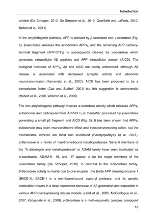 Introduction
18
unclear (De Strooper, 2010, De Strooper et al., 2010, Querfurth and LaFerla, 2010,
Ballard et al., 2011).
In the amyloidogenic pathway, APP is cleaved by β-secretase and γ-secretase (Fig.
3). β-secretase releases the ectodomain APPsβ, and the remaining APP carboxy-
terminal fragment (APP-CTFβ) is subsequently cleaved by γ-secretase which
generates extracellular Aβ peptides and APP intracellular domain (AICD). The
biological functions of APPsβ, Aβ and AICD are poorly understood, although Aβ
release is associated with decreased synaptic activity and abnormal
neurotransmission (Kamenetz et al., 2003). AICD has been proposed to be a
transcription factor (Cao and Sudhof, 2001) but this suggestion is controversial
(Hebert et al., 2006, Waldron et al., 2008).
The non-amyloidogenic pathway involves α-secretase activity which releases APPsα
ectodomain and carboxy-terminal APP-CFTα is thereafter processed by γ-secretase
generating a small p3 fragment and AICD (Fig. 3). It has been shown that APPsα
ectodomain may exert neuroprotective effect and synapse-promoting action, but the
mechanisms involved are most non elucidated (Bandyopadhyay et al., 2007).
α-Secretase is a family of membrane-bound metalloproteases. Several members of
the “A disintegrin and metalloprotease” or ADAM family have been implicated as
α-secretases. ADAM-9, -10, and -17 appear to be the major members of the
α-secretase family (De Strooper, 2010). In contrast to the α-Secretase family,
β-Secretase activity is mainly due to one enzyme : the β-site APP cleaving enzyme 1
(BACE-1). BACE-1 is a membrane-bound aspartyl protease, and its genetic
inactivation results in a dose dependent decrease of Aβ generation and deposition in
various APP-overexpressing mouse models (Laird et al., 2005, McConlogue et al.,
2007, Kobayashi et al., 2008). γ-Secretase is a multi-enzymatic complex composed
 