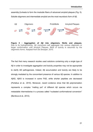 Introduction
21
assembly β-sheets to form the insoluble fibers of advanced amyloid plaques (Fig. 5).
Soluble oligomers and intermediate amyloid are the most neurotoxic form of Aβ.
Figure 5 : Aggregation of Aβ into oligomers, fibrils and plaques.
Due to its hydrophobicity, Aβ monomers self aggregate into various oligomers or
larger conformation until Amyloid Plaques. Most of toxicity is assumed by the
oligomeric forms. Adapted from De Strooper, 2010.
The fact that many research studies used solutions containing only a single type of
Aβ in order to investigate aggregation and toxicity properties may not be appropriate
to clarify AD pathogenesis. Indeed, Aβ accumulation and toxicity are likely to be
strongly mediated by the concomitant presence of various Aβ species. In addition to
Aβ42, Aβ43 is increased in some FAD, while shorter peptides are decreased
(Portelius et al., 2010). Moreover, recent evidence show that Aβ polymerization
represents a complex “melting pot“ of different Aβ species which occurs via
metastable intermediaries in a process called “nucleated conformational conversion”
(Benilova et al., 2012).
 