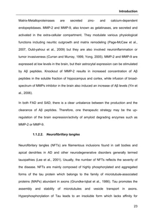 Introduction
23
Matrix-Metalloproteinases are secreted zinc- and calcium-dependent
endopeptidases. MMP-2 and MMP-9, also known as gelatinases, are secreted and
activated in the extra-cellular compartment. They modulate various physiological
functions including neuritic outgrowth and matrix remodeling (Page-McCaw et al.,
2007, Ould-yahoui et al., 2009) but they are also involved neuroinflammation or
tumor invasiveness (Curran and Murray, 1999, Yong, 2005). MMP-2 and MMP-9 are
expressed at low levels in the brain, but their astrocytal expression can be stimulated
by Aβ peptides. Knockout of MMP-2 results in increased concentration of Aβ
peptides in the soluble fraction of hippocampus and cortex, while infusion of broad-
spectrum of MMPs inhibitor in the brain also induced an increase of Aβ levels (Yin et
al., 2006).
In both FAD and SAD, there is a clear unbalance between the production and the
clearance of Aβ peptides. Therefore, one therapeutic strategy may be the up-
regulation of the brain expression/activity of amyloid degrading enzymes such as
MMP-2 or MMP-9.
1.1.2.2. Neurofibrillary tangles
Neurofibrilary tangles (NFTs) are filamentous inclusions found in cell bodies and
apical dendrites in AD and other neurodegenerative disorders generally termed
tauopathies (Lee et al., 2001). Usually, the number of NFTs reflects the severity of
the disease. NFTs are mainly composed of highly phosphorylated and aggregated
forms of the tau protein which belongs to the family of microtubule-associated
proteins (MAPs) abundant in axons (Grundke-Iqbal et al., 1986). Tau promotes the
assembly and stability of microtubules and vesicle transport in axons.
Hyperphosphorylation of Tau leads to an insoluble form which lacks affinity for
 