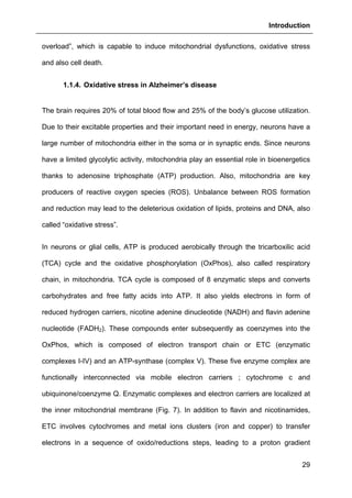 Introduction
29
overload”, which is capable to induce mitochondrial dysfunctions, oxidative stress
and also cell death.
1.1.4. Oxidative stress in Alzheimer’s disease
The brain requires 20% of total blood flow and 25% of the body’s glucose utilization.
Due to their excitable properties and their important need in energy, neurons have a
large number of mitochondria either in the soma or in synaptic ends. Since neurons
have a limited glycolytic activity, mitochondria play an essential role in bioenergetics
thanks to adenosine triphosphate (ATP) production. Also, mitochondria are key
producers of reactive oxygen species (ROS). Unbalance between ROS formation
and reduction may lead to the deleterious oxidation of lipids, proteins and DNA, also
called “oxidative stress”.
In neurons or glial cells, ATP is produced aerobically through the tricarboxilic acid
(TCA) cycle and the oxidative phosphorylation (OxPhos), also called respiratory
chain, in mitochondria. TCA cycle is composed of 8 enzymatic steps and converts
carbohydrates and free fatty acids into ATP. It also yields electrons in form of
reduced hydrogen carriers, nicotine adenine dinucleotide (NADH) and flavin adenine
nucleotide (FADH2). These compounds enter subsequently as coenzymes into the
OxPhos, which is composed of electron transport chain or ETC (enzymatic
complexes I-IV) and an ATP-synthase (complex V). These five enzyme complex are
functionally interconnected via mobile electron carriers ; cytochrome c and
ubiquinone/coenzyme Q. Enzymatic complexes and electron carriers are localized at
the inner mitochondrial membrane (Fig. 7). In addition to flavin and nicotinamides,
ETC involves cytochromes and metal ions clusters (iron and copper) to transfer
electrons in a sequence of oxido/reductions steps, leading to a proton gradient
 