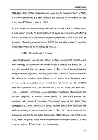 Introduction
32
2012, Gotz et al., 2013a). It has also been shown that the specific inhibition of ABAD
in human neuroblastoma SH-SY5Y cells was able to reduce Aβ-induced cell loss and
to decrease ROS levels (Lim et al., 2011).
Another process to induce oxidative stress is the binding of Aβ to NMDAR which
evokes calcium inwards. As aforementioned, Aβ cause an overactivation of NMDAR,
which in turn lead to a downstream excessive production of nitric oxide and the
generation of reactive nitrogen species (RNS), that are also involved in oxidative
stress and damageable for the cells (Gotz et al., 2010).
1.1.4.2. Tau and oxidative stress
Hyperphosphorylated Tau has been shown to block mitochondrial transport which
leads to energy deprivation and oxidative stress at the synapse end (Reddy, 2011). It
was also reported that the overexpression of Tau inhibited kinesin-dependent
transport of many organelles, including peroxisomes, which are important actors for
the buffering of oxidative stress (Stamer et al., 2002). In a drosophila model
overexpressing a tauopathy-related mutant form of human tau (tau R406W),
reduction of gene expression of mitochondrial SOD2 and thioredoxin reductase 1
(Trxr-1) enhanced Tau-induced neurodegenerative histological abnormalities and
neuronal apoptosis. In contrast, overexpression of antioxidant enzyme and
treatments with vitamin E decreased Tau-induced neuronal cell death (Dias-
Santagata et al., 2007). Moreover, in cortical neurons derived from transgenic rats
model expressing a human truncated form of Tau, ROS were increased and
antioxidants significantly attenuated this elevation of ROS (Cente et al., 2006, Cente
et al., 2009). Altogether, these observations confirm that oxidative stress is, at least
in part, a mediator of Tau-induced neurodegeneration.
 