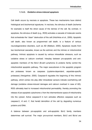 Introduction
34
1.1.4.3. Oxidative stress-induced apoptosis
Cell death occurs by necrosis or apoptosis. These two mechanisms have distinct
histological and biochemical signatures. In necrosis, the stimulus of death (Ischemia
for example) is itself the direct cause of the demise of the cell. By contrast, in
apoptosis, the stimulus of death (e.g., ROS) activates a cascade of molecular events
that orchestrate the “clean” destruction of the cell (Hotchkiss et al., 2009). Apoptotic
cell death, also known as programmed cell death, is a feature of various
neurodegenerative disorders, such as AD (Mattson, 2000). Apoptosis results from
two biochemical cascades, known as the extrinsic and the intrinsic or mitochondrial
pathway. Intrinsic apoptosis is caused by various intracellular stressors, such as
oxidative stress or calcium overload. Interplay between pro-apoptotic and anti-
apoptotic members of the Bcl-2 (B-cell Lymphoma 2) proteins family control the
mitochondrial apoptotic pathway. The major executioners in the apoptotic program
are proteases known as caspases (cysteine-dependent, aspartate-specific
proteases) (Hengartner, 2000). Caspase-9 regulates the beginning of this intrinsic
pathway, which comes into play after intracellular sensors indicate overhelming cell
damage (oxidative stress-induced damages and calcium overload in case of AD).
ROS ultimately lead to increased mitochondrial permeability, thereby promoting the
release of pro-apoptotic cytochrome c from the intermembrane space of mitochondria
into the cytosol. Active caspase-9 in turn activates effectors caspases such as
caspase-3, -6 and -7, that herald demolition of the cell by degrading numerous
proteins and DNA.
A balance between pro-apoptotic and anti-apoptotic Bcl-2 family members
determines cell survival. The major pro-survival members, Bcl-2 and Bcl-xl are
 