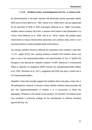 Introduction
37
1.1.4.4. Oxidative stress, amyloidogenesis and Tau : a vicious circle
As aforementioned, it has been reported that Aβ-evoked toxicity generates cellular
ROS such as H2O2 (Behl et al., 1994, Tabner et al., 2005) which may be suppressed
by the activation of SOD or ROS scavengers (Miranda et al., 2000). Conversely,
oxidative stress increases Aβ levels, a process which leads to the perpetuation of a
vicious circle (Misonou et al., 2000, Oda et al., 2010). Indeed, Aβ partially target
mitochondria to induce mitochondrial dysfunction and oxidative stress which in turn
may lead proteins to adopt β-pleated sheet conformations.
Tau induces oxidative stress by affecting the respiratory chain complex I (see Part.
1.1.4.2., pages 32-33). But, growing evidence revealed that oxidative stress may
have a role in the hyperphosphorylation and polymerization of Tau. In Tg2576 AD
transgenic mice bearing the “Swedish mutation” of APP, deficiency in mitochondrial
SOD2 or reduction of cytoplasmic SOD1 induced Tau hyperphosphorylation (Melov
et al., 2007, Murakami et al., 2011), suggesting that ROS may play a critical role in
Tau hyperphosphorylation.
Altogether, these data strongly suggest that oxidative stress may play a major role in
AD pathogenesis. However, it remains unclear whether oxidative stress precedes Aβ
and Tau hyperphosphorylation or whether it is a sub-product of these two
aggregates. Whatever is the answer to this question, the reduction of oxidative stress
may constitute a promising strategy for the development of effective therapies
against AD (Fig. 10).
 
