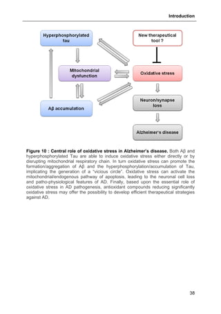 Introduction
38
Figure 10 : Central role of oxidative stress in Alzheimer’s disease. Both Aβ and
hyperphosphorylated Tau are able to induce oxidative stress either directly or by
disrupting mitochondrial respiratory chain. In turn oxidative stress can promote the
formation/aggregation of Aβ and the hyperphosphorylation/accumulation of Tau,
implicating the generation of a “vicious circle”. Oxidative stress can activate the
mitochondrial/endogenous pathway of apoptosis, leading to the neuronal cell loss
and patho-physiological features of AD. Finally, based upon the essential role of
oxidative stress in AD pathogenesis, antioxidant compounds reducing significantly
oxidative stress may offer the possibility to develop efficient therapeutical strategies
against AD.
 