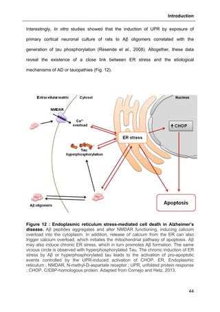 Introduction
44
Interestingly, In vitro studies showed that the induction of UPR by exposure of
primary cortical neuronal culture of rats to Aβ oligomers correlated with the
generation of tau phosphorylation (Resende et al., 2008). Altogether, these data
reveal the existence of a close link between ER stress and the etiological
mechanisms of AD or tauopathies (Fig. 12).
Figure 12 : Endoplasmic reticulum stress-mediated cell death in Alzheimer’s
disease. Aβ peptides aggregates and alter NMDAR functioning, inducing calcium
overload into the cytoplasm. In addition, release of calcium from the ER can also
trigger calcium overload, which initiates the mitochondrial pathway of apoptosis. Aβ
may also induce chronic ER stress, which in turn promotes Aβ formation. The same
vicious circle is observed with hyperphosphorylated Tau. The chronic induction of ER
stress by Aβ or hyperphosphorylated tau leads to the activation of pro-apoptotic
events controlled by the UPR-induced activation of CHOP. ER, Endoplasmic
reticulum ; NMDAR, N-methyl-D-aspartate receptor ; UPR, unfolded protein response
; CHOP, C/EBP-homologous protein. Adapted from Cornejo and Hetz, 2013.
 