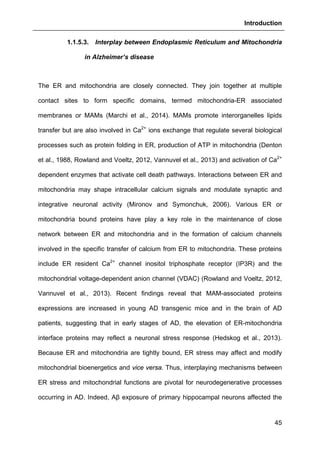 Introduction
45
1.1.5.3. Interplay between Endoplasmic Reticulum and Mitochondria
in Alzheimer’s disease
The ER and mitochondria are closely connected. They join together at multiple
contact sites to form specific domains, termed mitochondria-ER associated
membranes or MAMs (Marchi et al., 2014). MAMs promote interorganelles lipids
transfer but are also involved in Ca2+
ions exchange that regulate several biological
processes such as protein folding in ER, production of ATP in mitochondria (Denton
et al., 1988, Rowland and Voeltz, 2012, Vannuvel et al., 2013) and activation of Ca2+
dependent enzymes that activate cell death pathways. Interactions between ER and
mitochondria may shape intracellular calcium signals and modulate synaptic and
integrative neuronal activity (Mironov and Symonchuk, 2006). Various ER or
mitochondria bound proteins have play a key role in the maintenance of close
network between ER and mitochondria and in the formation of calcium channels
involved in the specific transfer of calcium from ER to mitochondria. These proteins
include ER resident Ca2+
channel inositol triphosphate receptor (IP3R) and the
mitochondrial voltage-dependent anion channel (VDAC) (Rowland and Voeltz, 2012,
Vannuvel et al., 2013). Recent findings reveal that MAM-associated proteins
expressions are increased in young AD transgenic mice and in the brain of AD
patients, suggesting that in early stages of AD, the elevation of ER-mitochondria
interface proteins may reflect a neuronal stress response (Hedskog et al., 2013).
Because ER and mitochondria are tightly bound, ER stress may affect and modify
mitochondrial bioenergetics and vice versa. Thus, interplaying mechanisms between
ER stress and mitochondrial functions are pivotal for neurodegenerative processes
occurring in AD. Indeed, Aβ exposure of primary hippocampal neurons affected the
 