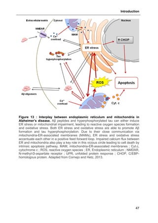 Introduction
47
Figure 13 : Interplay between endoplasmic reticulum and mitochondria in
Alzheimer’s disease. Aβ peptides and hyperphosphorylated tau can either induce
ER stress or mitochondrial impairment, leading to reactive oxygen species formation
and oxidative stress. Both ER stress and oxidative stress are able to promote Aβ
formation and tau hyperphosphorylation. Due to their close communication via
mitochondria-ER-associated membranes (MAMs), ER stress and oxidative stress
accentuate each other in a positive feed forward loop. Impaired calcium flux between
ER and mitochondria also play a key role in this vicious circle leading to cell death by
intrinsic apoptosis pathway. MAM, mitochondria-ER-associated membranes ; Cyt.c,
cytochrome c ; ROS, reactive oxygen species ; ER, Endoplasmic reticulum ; NMDAR,
N-methyl-D-aspartate receptor ; UPR, unfolded protein response ; CHOP, C/EBP-
homologous protein. Adapted from Cornejo and Hetz, 2013.
 