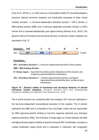 Introduction
50
(Frye et al., 2014b, a, c), which acts as a transcriptions factor for neurosteroidogenic
enzymes. Steroid hormones receptors are functionally composed of three critical
modular domains : a hormone-independent activation function 1 (AF1) domain, a
DNA-binding domain (DBD) and a hormone dependent activation function 2 (AF2)
domain that is activated allosterically upon ligand binding (Stanisic et al., 2010). The
general outline of functional and structural domains of steroids nuclear receptors are
described in Fig. 15.
Figure 15 : General outline of functional and structural domains of steroid
hormones nuclear receptors. Structural domains (A-F) and corresponding
functional modalities are depicted. From Stanisic et al., 2010.
The A and B domains are contained within the receptor’s AF1 and are implicated in
the hormone-independent transcriptional activation of the receptor. The C domain
represents the DBD and is composed of two zinc-finger motifs that are responsible
for DNA sequence-specific binding to hormone response elements (e.g. Estrogen
response elements, ERE). The D domain or hinge region is a linker between the DNA
and ligand binding regions (LBDs) of steroid hormones NR. Functionally, it contains a
nuclear localization signal (NLS) and is implicated in interaction with coregulator
 
