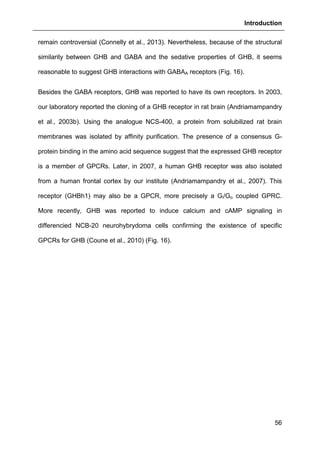 Introduction
56
remain controversial (Connelly et al., 2013). Nevertheless, because of the structural
similarity between GHB and GABA and the sedative properties of GHB, it seems
reasonable to suggest GHB interactions with GABAA receptors (Fig. 16).
Besides the GABA receptors, GHB was reported to have its own receptors. In 2003,
our laboratory reported the cloning of a GHB receptor in rat brain (Andriamampandry
et al., 2003b). Using the analogue NCS-400, a protein from solubilized rat brain
membranes was isolated by affinity purification. The presence of a consensus G-
protein binding in the amino acid sequence suggest that the expressed GHB receptor
is a member of GPCRs. Later, in 2007, a human GHB receptor was also isolated
from a human frontal cortex by our institute (Andriamampandry et al., 2007). This
receptor (GHBh1) may also be a GPCR, more precisely a Gi/Go coupled GPRC.
More recently, GHB was reported to induce calcium and cAMP signaling in
differencied NCB-20 neurohybrydoma cells confirming the existence of specific
GPCRs for GHB (Coune et al., 2010) (Fig. 16).
 