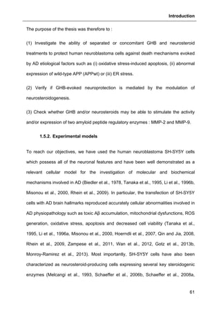 Introduction
61
The purpose of the thesis was therefore to :
(1) Investigate the ability of separated or concomitant GHB and neurosteroid
treatments to protect human neuroblastoma cells against death mechanisms evoked
by AD etiological factors such as (i) oxidative stress-induced apoptosis, (ii) abnormal
expression of wild-type APP (APPwt) or (iii) ER stress.
(2) Verify if GHB-evoked neuroprotection is mediated by the modulation of
neurosteroidogenesis.
(3) Check whether GHB and/or neurosteroids may be able to stimulate the activity
and/or expression of two amyloid peptide regulatory enzymes : MMP-2 and MMP-9.
1.5.2. Experimental models
To reach our objectives, we have used the human neuroblastoma SH-SY5Y cells
which possess all of the neuronal features and have been well demonstrated as a
relevant cellular model for the investigation of molecular and biochemical
mechanisms involved in AD (Biedler et al., 1978, Tanaka et al., 1995, Li et al., 1996b,
Misonou et al., 2000, Rhein et al., 2009). In particular, the transfection of SH-SY5Y
cells with AD brain hallmarks reproduced accurately cellular abnormalities involved in
AD physiopathology such as toxic Aβ accumulation, mitochondrial dysfunctions, ROS
generation, oxidative stress, apoptosis and decreased cell viability (Tanaka et al.,
1995, Li et al., 1996a, Misonou et al., 2000, Hoerndli et al., 2007, Qin and Jia, 2008,
Rhein et al., 2009, Zampese et al., 2011, Wan et al., 2012, Gotz et al., 2013b,
Monroy-Ramirez et al., 2013). Most importantly, SH-SY5Y cells have also been
characterized as neurosteroid-producing cells expressing several key steroidogenic
enzymes (Melcangi et al., 1993, Schaeffer et al., 2006b, Schaeffer et al., 2008a,
 