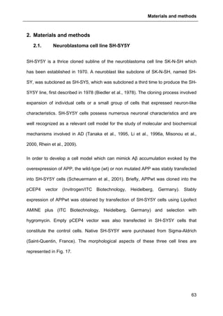 Materials and methods
63
2. Materials and methods
2.1. Neuroblastoma cell line SH-SY5Y
SH-SY5Y is a thrice cloned subline of the neuroblastoma cell line SK-N-SH which
has been established in 1970. A neuroblast like subclone of SK-N-SH, named SH-
SY, was subcloned as SH-SY5, which was subcloned a third time to produce the SH-
SY5Y line, first described in 1978 (Biedler et al., 1978). The cloning process involved
expansion of individual cells or a small group of cells that expressed neuron-like
characteristics. SH-SY5Y cells possess numerous neuronal characteristics and are
well recognized as a relevant cell model for the study of molecular and biochemical
mechanisms involved in AD (Tanaka et al., 1995, Li et al., 1996a, Misonou et al.,
2000, Rhein et al., 2009).
In order to develop a cell model which can mimick Aβ accumulation evoked by the
overexpression of APP, the wild-type (wt) or non mutated APP was stably transfected
into SH-SY5Y cells (Scheuermann et al., 2001). Briefly, APPwt was cloned into the
pCEP4 vector (Invitrogen/ITC Biotechnology, Heidelberg, Germany). Stably
expression of APPwt was obtained by transfection of SH-SY5Y cells using Lipofect
AMINE plus (ITC Biotechnology, Heidelberg, Germany) and selection with
hygromycin. Empty pCEP4 vector was also transfected in SH-SY5Y cells that
constitute the control cells. Native SH-SY5Y were purchased from Sigma-Aldrich
(Saint-Quentin, France). The morphological aspects of these three cell lines are
represented in Fig. 17.
 