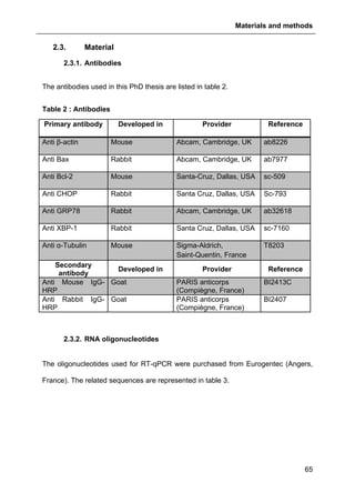 Materials and methods
65
2.3. Material
2.3.1. Antibodies
The antibodies used in this PhD thesis are listed in table 2.
Table 2 : Antibodies
Primary antibody Developed in Provider Reference
Anti β-actin Mouse Abcam, Cambridge, UK ab8226
Anti Bax Rabbit Abcam, Cambridge, UK ab7977
Anti Bcl-2 Mouse Santa-Cruz, Dallas, USA sc-509
Anti CHOP Rabbit Santa Cruz, Dallas, USA Sc-793
Anti GRP78 Rabbit Abcam, Cambridge, UK ab32618
Anti XBP-1 Rabbit Santa Cruz, Dallas, USA sc-7160
Anti α-Tubulin Mouse Sigma-Aldrich,
Saint-Quentin, France
T8203
Secondary
antibody
Developed in Provider Reference
Anti Mouse IgG-
HRP
Goat PARIS anticorps
(Compiègne, France)
BI2413C
Anti Rabbit IgG-
HRP
Goat PARIS anticorps
(Compiègne, France)
BI2407
2.3.2. RNA oligonucleotides
The oligonucleotides used for RT-qPCR were purchased from Eurogentec (Angers,
France). The related sequences are represented in table 3.
 