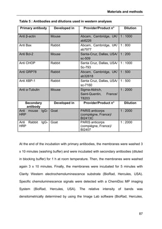 Materials and methods
87
Table 5 : Antibodies and dilutions used in western analyses
Primary antibody Developed in Provider/Product n° Dilution
Anti β-actin Mouse Abcam, Cambridge, UK/
ab8226
1 : 1000
Anti Bax Rabbit Abcam, Cambridge, UK/
ab7977
1 : 800
Anti Bcl-2 Mouse Santa-Cruz, Dallas, USA/
sc-509
1 : 200
Anti CHOP Rabbit Santa Cruz, Dallas, USA/
Sc-793
1 : 1000
Anti GRP78 Rabbit Abcam, Cambridge, UK/
ab32618
1 : 500
Anti XBP-1 Rabbit Santa Cruz, Dallas, USA/
sc-7160
1 : 500
Anti α-Tubulin Mouse Sigma-Aldrich,
Saint-Quentin, France/
T8203
1 : 2000
Secondary
antibody
Developed in Provider/Product n° Dilution
Anti mouse IgG-
HRP
Goat PARIS anticorps
(compiègne, France)/
BI2413C
1 : 2000
Anti Rabbit IgG-
HRP
Goat PARIS anticorps
(compiègne, France)/
BI2407
1 : 2000
At the end of the incubation with primary antibodies, the membranes were washed 3
x 10 minutes (washing buffer) and were incubated with secondary antibodies (diluted
in blocking buffer) for 1 h at room temperature. Then, the membranes were washed
again 3 x 10 minutes. Finally, the membranes were incubated for 5 minutes with
Clarity Western electrochemoluminescence substrate (BioRad, Hercules, USA).
Specific chemoluminescence signals were detected with a ChemiDoc MP imaging
System (BioRad, Hercules, USA). The relative intensity of bands was
densitometrically determined by using the Image Lab software (BioRad, Hercules,
 