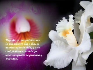 Urgente, es una palabra con la que vivimos día a día, en nuestra agitada vida, y a la cual, le hemos perdido ya todo significado de premura y prioridad. 