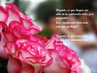 Urgente, es que hagas un alto en tu ajetreada vida, y te preguntes:  Qué significado tiene todo esto que yo hago? Urgente, es que seas más amigo, más humano, más hermano. 