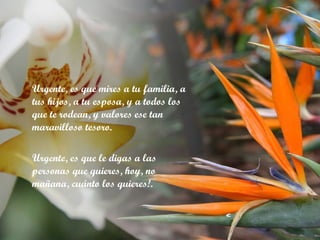 Urgente, es que mires a tu familia, a tus hijos, a tu esposa, y a todos los que te rodean, y valores ese tan maravilloso tesoro. Urgente, es que le digas a las personas que quieres, hoy, no mañana, cuánto los quieres!. 