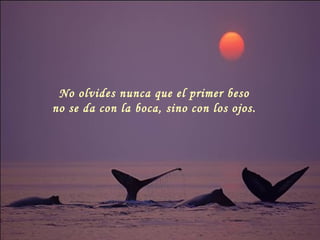 No olvides nunca que el primer beso  no se da con la boca, sino con los ojos.  