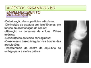 ARTICULAÇÕES
-Deterioração das superfícies articulares;
-Diminuição da estatura em 1cm/10 anos, em
função da acomodação da coluna;
-Alteração na curvatura da coluna. Cifose
torácica;
-Desidratação do tecido cartilaginoso;
-Crescimento ósseo irregular nas bordas das
articulações;
-Transferência do centro de equilíbrio do
umbigo para a sínfise púbica
ASPECTOS ORGÂNICOS DO
ENVELHECIMENTO
 