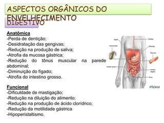 DIGESTIVO
Anatômica
-Perda de dentição;
-Desidratação das gengivas;
-Redução na produção de saliva;
-Atrofia da mucosa gástrica;
-Redução do tônus muscular na parede
abdominal;
-Diminuição do fígado;
-Atrofia do intestino grosso.
ASPECTOS ORGÂNICOS DO
ENVELHECIMENTO
Funcional
-Dificuldade de mastigação;
-Redução na diluição do alimento;
-Redução na produção de ácido clorídrico;
-Redução da motilidade gástrica
-Hipoperistaltismo.
 