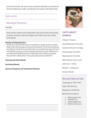 into the front limbs. The exact cause is unknown and there is no treatment.
Humane Euthanasia is often considered as the quality of life deteriorates.
PAGE #####
Mustela Putorius
Ferrets
Sexting and Reproduction:
Ferrets are only sold after they are neutered or spayed and de-scented.
Male ferrets will are large and prominent testicles. The ferrets will always
be breed at a ferret farms and after they are neutered and spay the farms
will send the young out to be adopted and homed as pets. Male ferrets
are called hobs while females are calledjills. After the jills are spayed,
they are then called sprites. The young produced are called kits.
Housing and Social Needs:
Nutritional Needs:
Common Surgeries and Anesthesia Protocol:
Ferret means smelly mouse-eating thief. They are from the same family
as skunks, weasels, minks and badgers. All of which have very smelly
scent glands.
FACTS ABOUT
FERRETS:
Lifespan: 5-8 years
Sexual Maturity: 4-8 months
Gestation Period: 41-43 days
Weaning Age: 6-8 weeks
Reproduction: live births
Mating Season: year round
Litter Size: 1-18 kits
Weight: 1-2 kilograms
Dental: 20 teeth
Normal Values & Lab:
Temperature: 100.4-104*F
Pulse: 180-250 bmp
Respiration: 30-40 bmp
Blood Draw Locations:
 Right Jugular Vein
 Cephalic Vein
 Lateral Saphenous
 Anterior Vena Cava
 