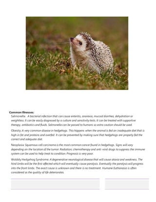 Common Illnesses:
Salmonella: A bacterial infection that can cause enteritis, anorexia, mucoid diarrhea, dehydration or
weightless. It can be easily diagnosed by a culture and sensitivity tests. It can be treated with supportive
therapy, antibiotics and fluids. Salmonella can be passed to humans so extra caution should be used.
Obesity: A very common disease in hedgehogs. This happens when the animal is fed an inadequate diet that is
high in fat and proteins and overfed. It can be prevented by making sure that hedgehogs are properly fed the
correct and adequate diet.
Neoplasia: Squamous cell carcinoma is the most common cancer found in hedgehogs. Signs will vary
depending on the location of the tumor. Radiation, chemotherapy and anti-viral drugs to suppress the immune
system can be used to help treat to condition. Prognosis is very poor.
Wobbly Hedgehog Syndrome: A degenerative neurological disease that will cause ataxia and weakness. The
hind limbs will be the first affected which will eventually cause paralysis. Eventually the paralysis will progress
into the front limbs. The exact cause is unknown and there is no treatment. Humane Euthanasia is often
considered as the quality of life deteriorates.
 