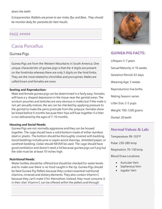 down the teeth.
Ectopararsites: Rabbits are prone to ear mites, flys and fleas. They should
be monitor daily for parasites for best results.
PAGE #####
Cavia Porcellus
Guinea Pigs
Sexting and Reproduction:
Male and female guinea pigs can be determined in a fairly easy. Females
will have a y-shaped depression in the tissue near the genital areas. The
scrotum pouches and testicles are very obvious in males but if the male is
not yet sexually mature, the sex can be checked by applying pressure to
the genital to make the penis protrude from the prepuce. Females show
be breed before 6 months because their hips will fuse together if a litter
is not delivered by the ages of 7-10 months.
Housing and Social Needs:
Guinea Pigs are not normally aggressive and they can be housed
together. The cage should have a solid bottom made of either stainless
steel or plastic. The bottom should be thoroughly covered with bedding.
Good beddings include pine or aspen wood shavings, shredded paper, or
carefresh bedding. Cedar should NEVER be used. The cage should have
good ventilation and doesn’t need a lid because guinea pigs can’t pig but
the side must be at least 10 inches high.
Nutritional Needs:
Water bottles should be offered but should be checked for water levels
and to make sure there is no food caught in the tip. Guinea Pigs should
be feed Guinea Pig Pellets because they contain essential nutritional
vitamins, minerals and dietary elements. They also contain Vitamin C
because they can’t make it for themselves. Instead, they must consume it
in their diet. Vitamin C can be offered within the pellets and through
Guinea Pigs are from the Western Mountains in South America. One
unique characteristic of guinea pigs is that the 4 digits are present
on the forelimbs whereas there are only 3 digits on the hind limbs.
They are the most related to chinchillas and porcupines. Males are
called boars and females are sows.
GUINEA PIG FACTS:
Lifespan: 5-7 years
Sexual Maturity: 4-10 weeks
Gestation Period: 63 days
Weaning Age: 3 weeks
Reproduction: live births
Mating Season: varies
Litter Size: 2-5 pups
Weight: 700-1200 grams
Dental: 20 teeth
Normal Values & Lab:
Temperature: 99-103*F
Pulse: 230-280 bmp
Respiration: 70-130 bmp
Blood Draw Locations:
 Auricular Vein
 Saphenous Vein
 Jugular Vein
 