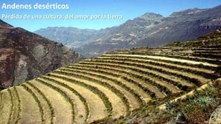 Andenes desérticos
Pérdida de una cultura; del amor por la tierra

 