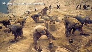 Obreros extrayendo guano de isla

 