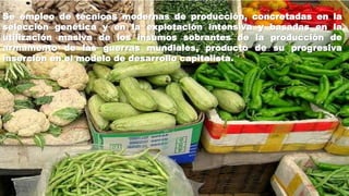Se empleo de técnicas modernas de producción, concretadas en la
selección genética y en la explotación intensiva y basadas en la
utilización masiva de los insumos sobrantes de la producción de
armamento de las guerras mundiales, producto de su progresiva
inserción en el modelo de desarrollo capitalista.

 