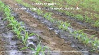 30 años después:
Consecuencia negativas de la revolución verde

http://noticias.masverdedigital.com/2013/los-10-productos-mas-peligrosos-de-monsanto-para-la-salud-y-la-vida-en-el-planeta/

 