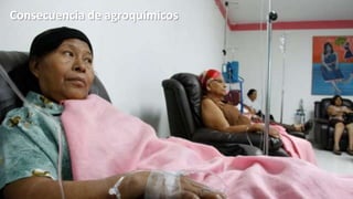Consecuencia de agroquímicos

 