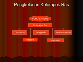 Pengkelasan Kelompok RasPengkelasan Kelompok Ras
HOMO-SAPIENS
Jenis-Jenis Ras
Caucasoid Mongoloid American Indian
Negroid Austroloid
 