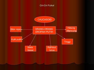 Ciri-Ciri FizikalCiri-Ciri Fizikal
CAUCASOID
ORANG-ORANG
EROPAH PUTIH
Bibir nipis
Kulit putih
Mata
besar
Rambut
lurus
Tinggi
Hidung
Mancung
 