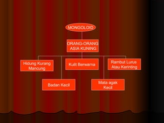 MONGOLOID
ORANG-ORANG
ASIA KUNING
Hidung Kurang
Mancung
Badan Kecil
Mata agak
Kecil
Kulit Berwarna
Rambut Lurus
Atau Kerinting
 