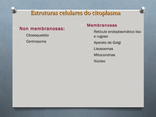 Estruturas celulares do citoplasmaEstruturas celulares do citoplasma
• Non membranosas:
– Citoesqueleto
– Centrosoma
• Membranosas
– Retículo endoplasmático liso
e rugoso
– Aparato de Golgi
– Lisososmas
– Mitocondrias
– Núcleo
 