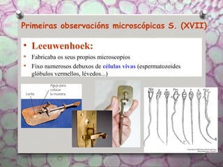 Primeiras observacións microscópicas S. (XVII)
• Leeuwenhoek:
➔
Fabricaba os seus propios microscopios
➔
Fixo numerosos debuxos de células vivas (espermatozoides
glóbulos vermellos, lévedos...)
 