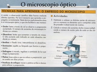 O microscopio óptico
 