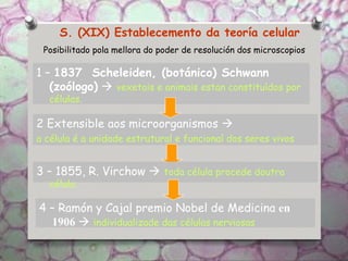 S. (XIX) Establecemento da teoría celular
1 – 1837 Scheleiden, (botánico) Schwann
(zoólogo)  vexetais e animais estan constituídos por
células.
2 Extensible aos microorganismos 
a célula é a unidade estrutural e funcional dos seres vivos
3 – 1855, R. Virchow  toda célula procede doutra
célula.
Posibilitado pola mellora do poder de resolución dos microscopios
4 – Ramón y Cajal premio Nobel de Medicina en
1906  individualizade das células nerviosas
 