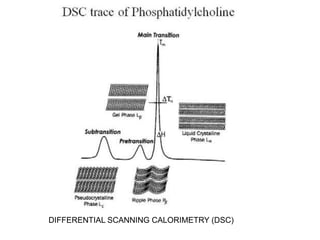 DIFFERENTIAL SCANNING CALORIMETRY (DSC) 
