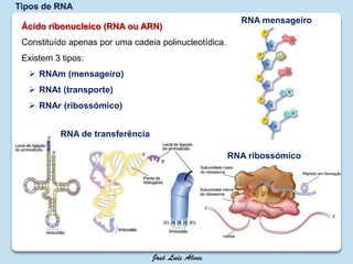 Tipos de RNA
RNA mensageiro
RNA de transferência
RNA ribossómico
Ácido ribonucleico (RNA ou ARN)
Constituído apenas por uma cadeia polinucleotídica.
Existem 3 tipos:
 RNAm (mensageiro)
 RNAt (transporte)
 RNAr (ribossómico)
 