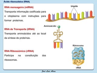Ácido ribonucleico (RNA)
RNA mensageiro (mRNA)
Transporta informação codificada para
o citoplasma com instruções para
formar proteínas.
RNA de Transporte (tRNA)
Transporta aminoácidos até ao local
da síntese de proteínas.
RNA Ribossómico (rRNA)
Participa na constituição dos
ribossomas.
 