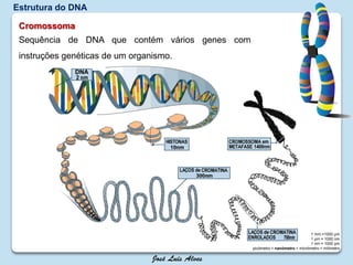 Estrutura do DNA
1 mm =1000 µm
1 µm = 1000 nm
1 nm = 1000 pm
picómetro < nanómetro < micrómetro < milímetro
Cromossoma
Sequência de DNA que contém vários genes com
instruções genéticas de um organismo.
 