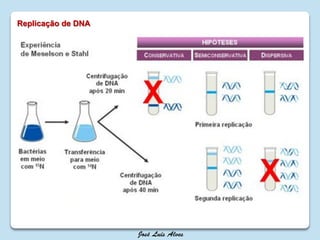 Replicação de DNA
 