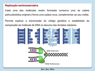 Replicação semiconservativa
Cada uma das moléculas recém formadas conserva uma da cadeia
polinucleotídica original e forma uma cadeia nova, complementar ao seu molde.
Permite explicar a transmissão do código genético e estabilidade da
composição da molécula de DNA no decurso das divisões celulares.
 