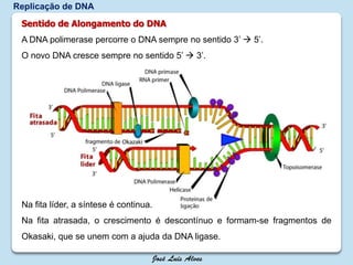 Replicação de DNA
Sentido de Alongamento do DNA
A DNA polimerase percorre o DNA sempre no sentido 3’  5’.
O novo DNA cresce sempre no sentido 5’  3’.
Na fita líder, a síntese é continua.
Na fita atrasada, o crescimento é descontínuo e formam-se fragmentos de
Okasaki, que se unem com a ajuda da DNA ligase.
 