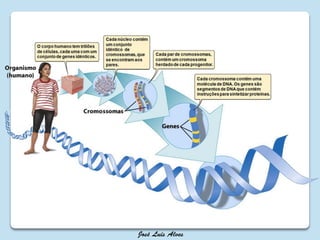 Ácidos nucleicos DNA RNA
