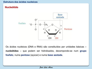 Nucleótido
Os ácidos nucleicos (DNA e RNA) são constituídos por unidades básicas –
nucleótidos – que podem ser hidrolisados, decompondo-se num grupo
fosfato, numa pentose (açúcar) e numa base azotada.
Estrutura dos ácidos nucleicos
 