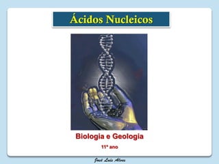 Biologia e Geologia
11º ano
Ácidos Nucleicos
 