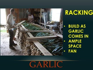 Part 1: Season Extension with Storage, Cellaring & Low Tunnels with ...